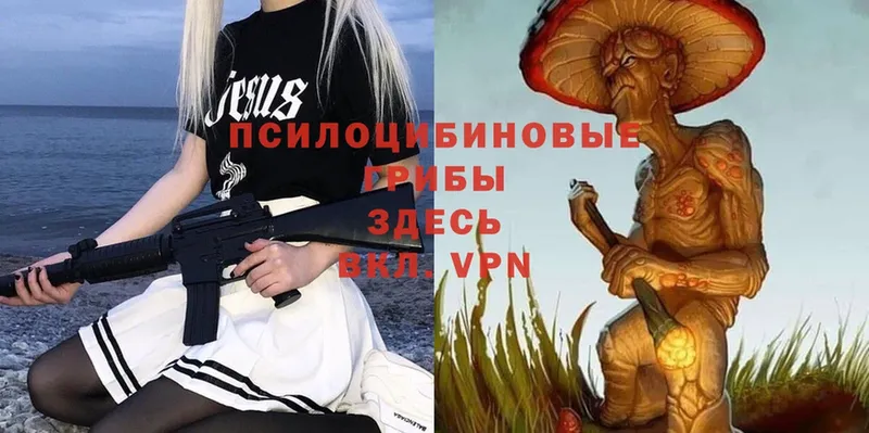 Псилоцибиновые грибы Magic Shrooms  Жиздра 